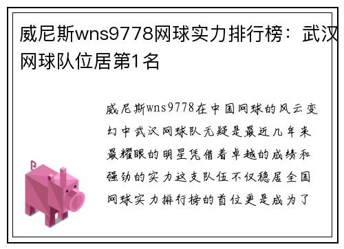 威尼斯wns9778网球实力排行榜：武汉网球队位居第1名