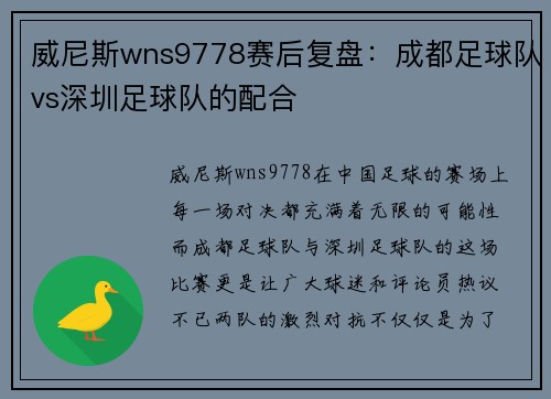 威尼斯wns9778赛后复盘：成都足球队vs深圳足球队的配合