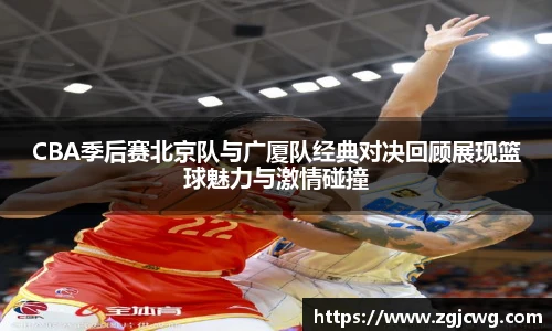 xc体育官方网站入口